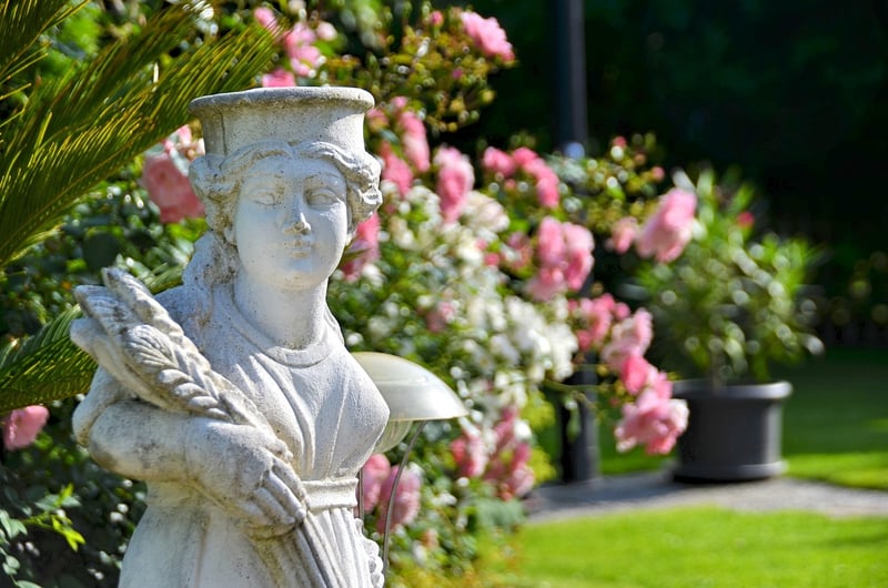 Gnome in the garden