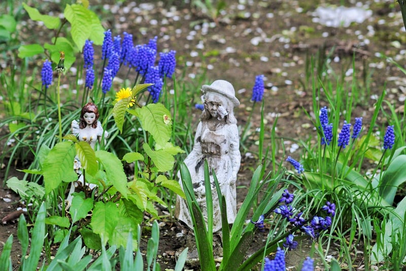 Garden gnome in a garden