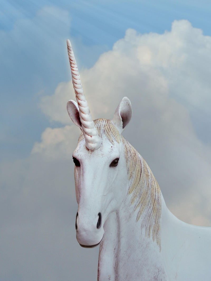 Unicorn in the garden